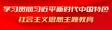 学习贯彻习近平新时代中国特色社会主义思想主题教育